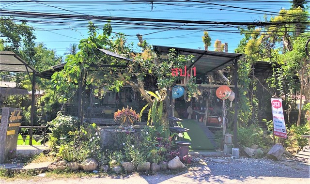  รายละเอียดเพิ่มเติม Code ID : PKK02-15448  ราคาขาย  9,421,200 บาท- ขนาดพื้นที่ :   419.00 ตร.ว.- พื้นที่ใช้สอย :  406.50 ตร.ม.  - จำนวนห้อง :  6 ห้องนอน 7 ห้องน้ำ  - ที่จอดรถ :    1   คัน- บ้านหันทางทิศ : ตะวันออกเฉียงเหนือ พิกัดทรัพย์ : https://maps.app.goo.gl/GsAhb2f3gYE13LCq6    สถานที่ใกล้เคียง- ใกล้เทสโก้โลตัส บ้านแม่น้ำ เกาะสมุย สุราษฎร์ธานี   - ใกล้เซเว่น  - ใกล้เค.ซี.เฟรช- ใกล้โรงพยาบาลบ้านดอนอินเตอร์ เกาะสมุย  สอบถามเพิ่มเติม/นัดชมโท