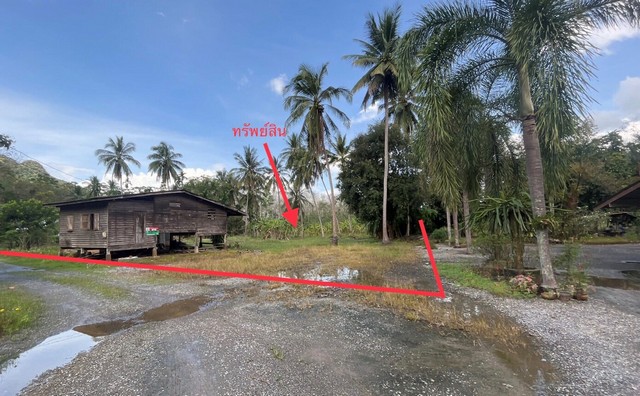   รายละเอียดเพิ่มเติม Code ID : PKK02-13392  ราคาขาย 947,700  บาท- ขนาดพื้นที่ :   416.00 ตร.ว.- พื้นที่ใช้สอย :  21.00 ตร.ม. - จำนวนห้อง :   1 ห้องนอน 1 ห้องน้ำ - ที่จอดรถ :   1    คัน- บ้านหันทางทิศ : ตะวันตกเฉียงใต้    พิกัดทรัพย์ : https://maps.app.goo.gl/M5umz2o5tama1WZXA    สถานที่ใกล้เคียง- ใกล้ทวีมินิมาร์ทบ้านม่วงลีบ- ใกล้ โรงพยาบาลส่งเสริมสุขภาพตำบลตำบลตำบลคลองสระ- ใกล้ร้านวังไทรเกษตรภัณฑ์- ใกล้โรงพยาบาลส่งเสริมสุขภาพตำบลตำบล