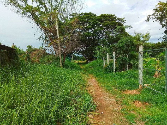 ขายที่ดินชุมชนในเมือง 2-1-16 ไร่ แบ่งหลายแปลง เดินทางสะดวก อ.เมือง จ.ลำปาง  ZN574