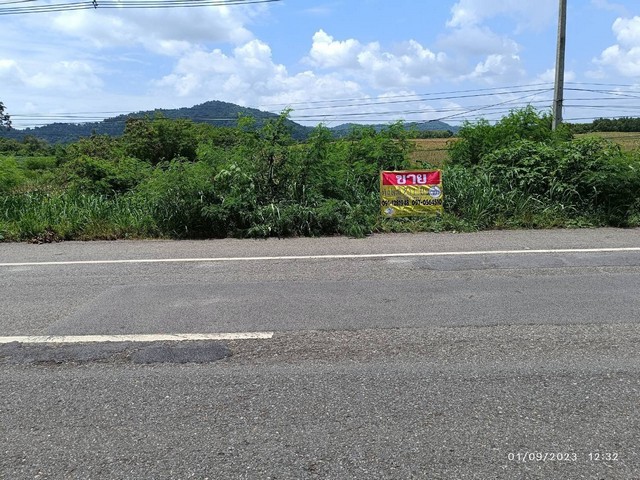 ที่ดินสวย ติดถนน 23-1-59 ไร่ ต.ยางงาม  อ.หนองไผ่ จ.เพชรบูรณ์   ZN457