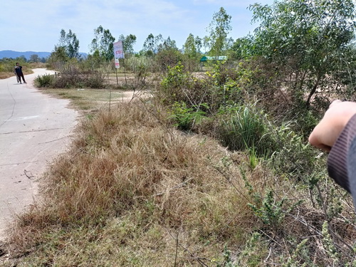 ขายที่ดิน 2 ไร่ หน้ากว้าง 15 เมตร ลึก 132 เมตร ถมแล้ว ทำเลดีใกล้ถนนเส้นบายพาสสระบุรี