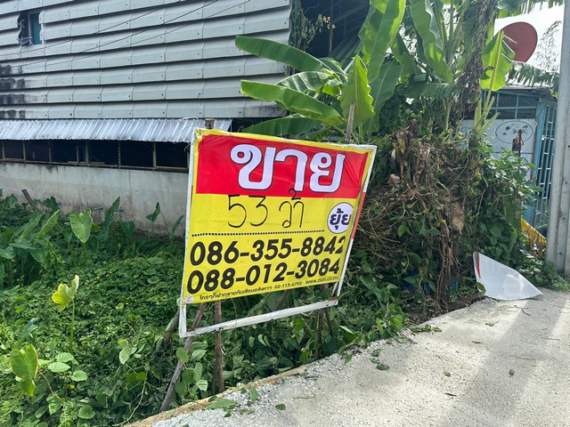 ขายที่ดิน 53 ตารางวา ติดถนนบางแวก ใกล้ซอยโรงถ่าน  ภาษีเจริญ  กรุงเทพมหานคร  ZT236