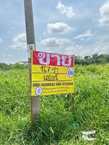 ขายที่ดิน 167 ตารางวา  เฉลิมพระเกียรติ ร.9 ซ.14  พระโขนง กรุงเทพฯ   ZT233