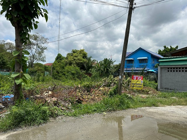 ขายที่ดิน 232 ตารางวา   ซอยชุมชนร่มโพธิ์ทอง2  บางบัวทอง  นนทบุรี  ZT232