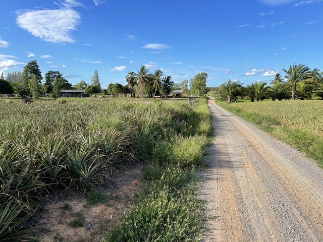 ขายที่ดิน 30 ไร่ 3 งาน 5 ตารางวา ตำบลอ่าวน้อย จังหวัดประจวบคีรีขันธ์