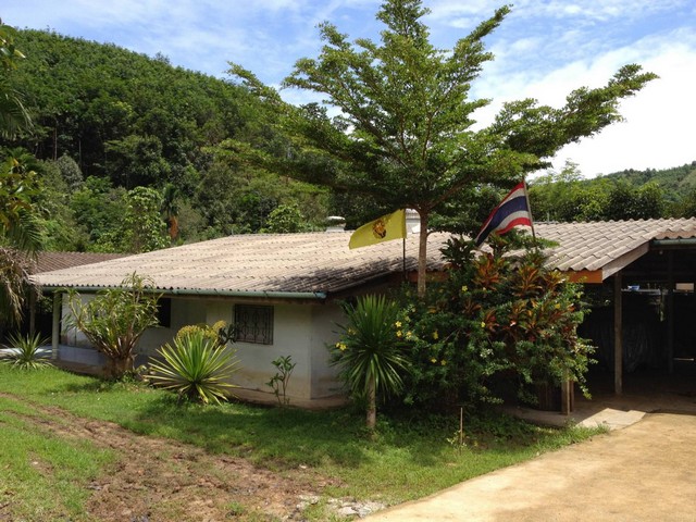 ขายด่วนมากสวนสวย ระนอง มังคุด ยางพารา มีถนนคอนกรีตเข้าสวน  ต.บางแก้ว อ.ละอุ่น ระนอง