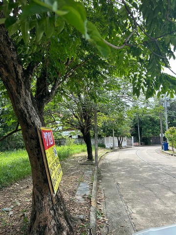 ขายที่ดิน 63 ตารางวา หมู่บ้านกฤษดานคร18 อัญมณี35   ตลิ่งชัน กรุงเทพม  ZT258