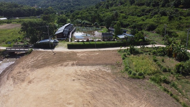 ที่ดิน -  ใหญ่ 2 ไร่ 2 งาน 50 ตร.วา 3500000 B.   ทำเลดี-เยี่ยม