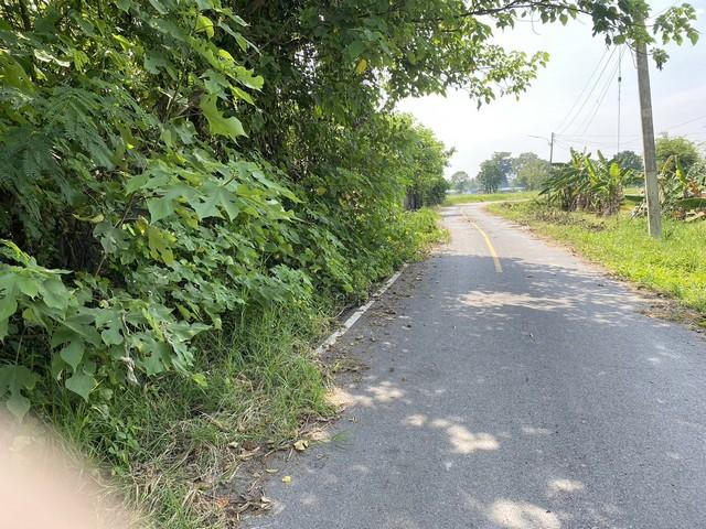 BL125 ขายที่ดินขนาด 3 ไร่ 1งาน 42ตารางวา สีเขียว อ.เฉลิมพระเกียรติ จ.สระบุรี มีถนนดำหน้าที่ดิน