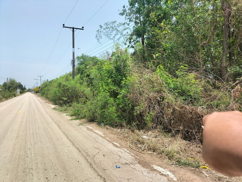 ขายที่ดิน 4-0-14 ไร่ ทำเลดี หน้ากว้าง 53.7 เมตร ลึก 136.4 เมตร ทำเลดี ใกล้แหล่งชุมชน