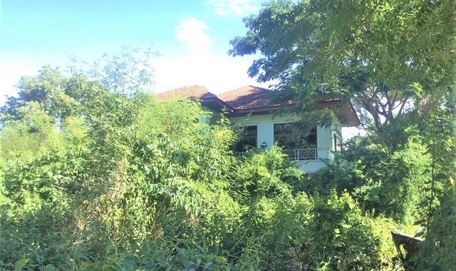 รายละเอียดเพิ่มเติมCode ID : PKK02-08450ราคาขาย      3,539,000 บาท- ขนาดพื้นที่ :   429.30 ตร.ว (1 ไร่ / 29.30 ตร.ว)- พื้นที่ใช้สอย :    335.50 ตร.ม- จำนวนห้อง :   5 ห้องนอน 2 ห้องน้ำ- จอดรถ :    1-2 คัน- บ้านเดี่ยว :       2 ชั้น- บ้านเดี่ยวหันทางทิศ :- อายุอาคาร :    14 ปีพิกัดทรัพย์ :     https://maps.app.goo.gl/Mb3vNV1BYwMZgEJE6สถานที่ใกล้เคียง- ใกล้โลตัส เอ็กเพรส สาขาวิเชียรบุรี- ใกล้โลตัส โกเฟรช วิเชียรบุรี- ใกล้บิ๊กซี ซูเปอร์เซ็นเตอร์ วิเชียรบุรี- ใกล้โ