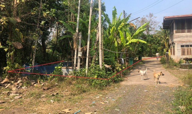 ขายบ้านเดี่ยว อำเภอหล่มเก่า เพชรบูรณ์  (PKK02-15236)