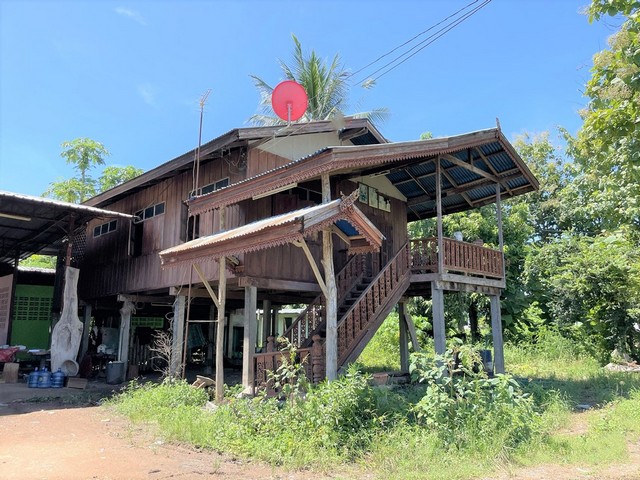 ขายบ้านไม้ใต้ถุนสูง  อำเภอหล่มสัก  เพชรบูรณ์ (PKK02-14442)