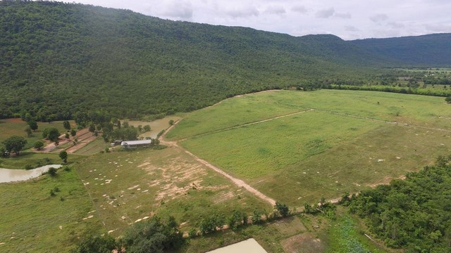 ที่ดินวิวภูเขาติดแหล่งน้ำธรรมชาติเหมาะทำรีสอร์ทที่อยู่ติดภูเขา ภูเวียง ใกล้อุทยานแห่งชาติ ดินดีสมบูรณ์ทรัพย์ในดิน  ตำบลนาจาน อำเภอสีชมพู ฟ้าใสอากาศดีขอนแก่น 