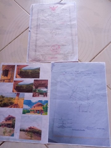 ขายบ้านพร้อมที่ดินสวนลำไย วิวภูเขา อำเภอพร้าว จังหวัดเชียงใหม่ จำนวน 1 ไร่ 2 งาน 63 ตารางวา