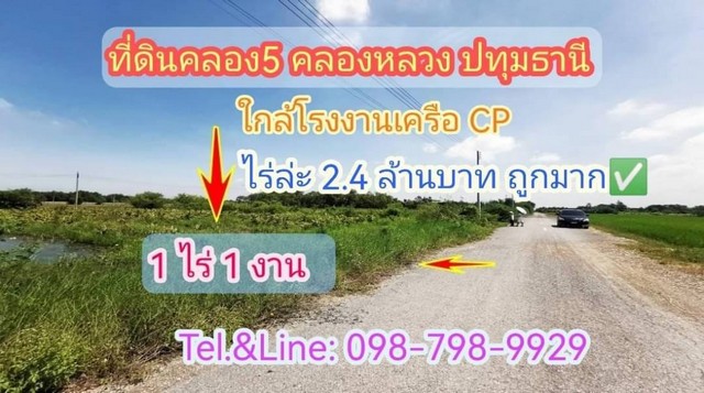 ที่ดินคลอง5 คลองหลวง  ปทุมธานี ใกล้โรงงานเครือCP ใกล้มอเตอร์เวย์ 1 ไร่ 1งาน  ไร่ล่ะ 2.4 ล้านบาท ตร.วละ 6,000