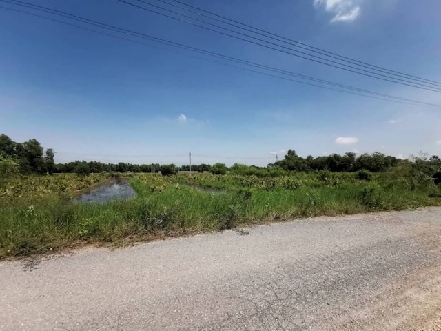 ที่ดินคลอง5 คลองหลวง  ปทุมธานี ใกล้โรงงานเครือCP ใกล้มอเตอร์เวย์ 1 ไร่ 1งาน  ไร่ล่ะ 2.4 ล้านบาท ตร.วละ 6,000