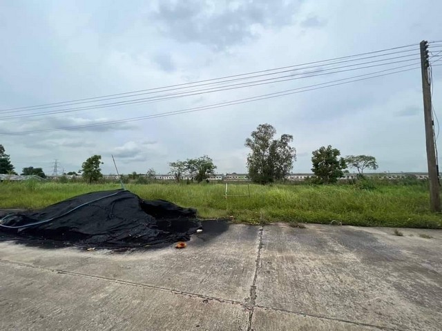 คลอง9 ธัญบุรี(ซ.ต้นไม้ใหญ่) ใกล้ถนนใหญ่รังสิตนครนายก 900 เมตร 1 ไร่