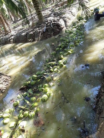 ขายที่ดินเนื้อที่ 122.1.70 ไร่ ตอบโจทย์ลูกค้านักลงทุน  ตำบลหนองราชวัตร อำเภอหนองหญ้าไซ จังหวัดสุพรรณบุรี