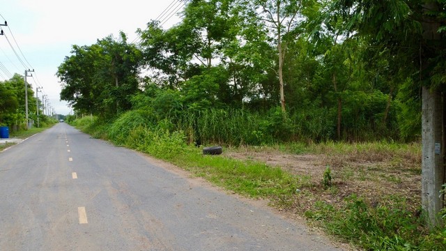 ที่ดินคลอง9 บึงบอน18 หนองเสือ ปทุมธานี ขนาด120 ตร.ว