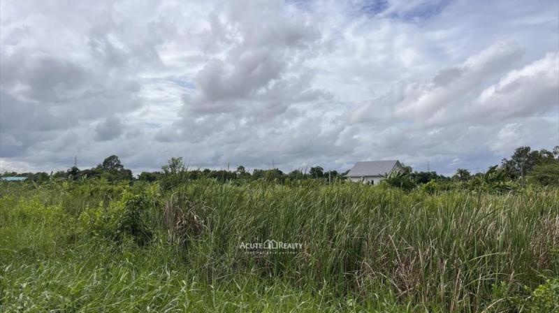 ขายถูก!! ที่ดิน 38 ไร่มีทางเข้าถนนประชาสำราญ หนองจอก ราคานี้หาไม่ได้แล้ว