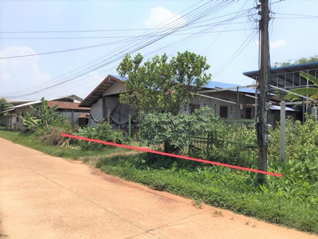 รายละเอียดเพิ่มเติมCode ID :    PKK02-15980ราคาขาย        1,459,000 บาท- ขนาดพื้นที่ :  112 ตร.ว (1 งาน / 12 ตร.ว)- พื้นที่ใช้สอย :    173.25 ตร.ม- จำนวนห้อง :   2 ห้องนอน 2 ห้องน้ำ- จอดรถ :    1-2 คัน- บ้านเดี่ยว  :    1 ชั้น- บ้านเดี่ยวหันทางทิศ :- อายุอาคาร :    9 ปีพิกัดทรัพย์ :    https://maps.app.goo.gl/bHrriF1gCkc1fFNA7สถานที่ใกล้เคียง- ใกล้โรงเรียนบ้านบัวโคก- ใกล้วัดศรีสะอาดบัวบาน- ใกล้ตลาดบ้านดอนเสียด- ใกล้วัดมหาพุทธสาครสอบถามเพิ่มเติม/นัดชมโทร.