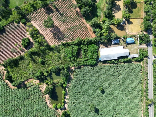 ขายที่ดินพร้อมสิ่งปลูกสร้าง 6-1-18 ไร่  ต.บ้านแก้ง อ.ภูเขียว จ.ชัยภูมิ  ZW263