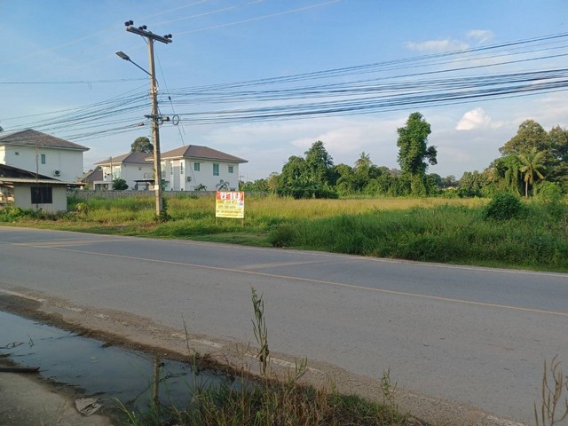 ขายด่วนที่ดินติดถนน  360 ตารางวา ใกล้มหาวิทยาลัยนเรศวร  จ.พิษณุโลก   ZK212