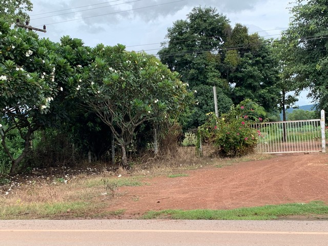 ขายที่ดิน  12-3-51  ไร่  ที่สวยบรรยากาศดี วิวภูเขา ต.บ้านยาง อ.วัดโบสถ์ จ.พิษณุโลก ZK210