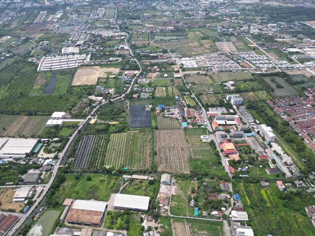 ขายที่ดินเปล่า   64-1-49.3ไร่  หนองแขม กรุงเทพ  ZW267