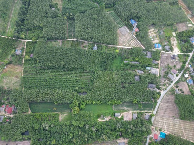 ขายที่ดินระยอง 10-2-78.2ไร่ ต.บางบุตร อ.บ้านค่าย จ.ระยอง   ZW266