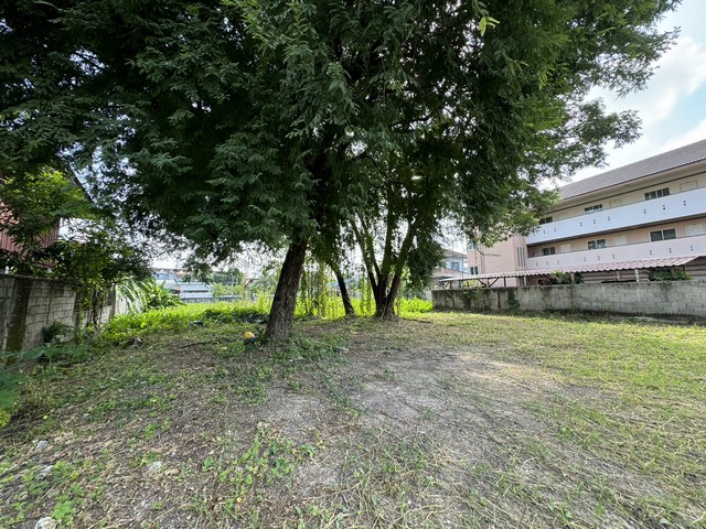 ขายที่ดิน 335 วา ผังสีแดง ใกล้ม.แม่โจ้ และ รพ.สันทราย ติดถนน สาธารณูปโภคครบ !