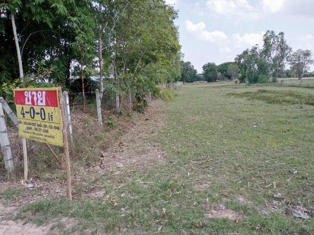 ขายที่นาสวยมาก  4 ไร่ บ้านหนองยาง ต.ชะยูง อ.อุทุมพรพิสัย จ.ศรีสะเกษ   ZE544