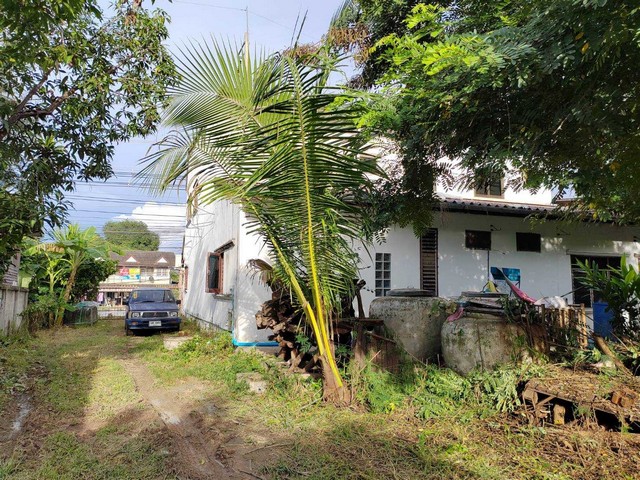 ขายที่ดิน+สิ่งปลูกสร้าง ติดถนน 3 ด้าน อาคาร 2 ชั้น 3 คูหา ถ.สุรนารายณ์  อ.เมือง จ.นครราชสีมา  ZE538