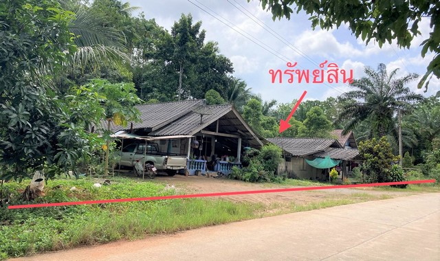 รายละเอียดเพิ่มเติม Code ID : PKK02-14553  ราคาขาย  1,944,900 บาท- ขนาดพื้นที่ :   1448.00 ตร.ว.- พื้นที่ใช้สอย :   93.75 ตร.ม.- จำนวนห้อง :   2 ห้องนอน 1 ห้องน้ำ- ที่จอดรถ :     1  คัน- บ้านหันทางทิศ : ตะวันตกเฉียงใต้    พิกัดทรัพย์ : https://maps.app.goo.gl/5oCgPreMZjqpaejP8    สถานที่ใกล้เคียง- ใกล้ตลาดนัดนายก - ใกล้โรงพยาบาลส่งเสริมสุขภาพตำบลไทรโสภา  - ใกล้โรงพยาบาลส่งเสริมสุขภาพตำบลตำบลบ้านนิคม - ใกล้ร้าน เมย์ บิวตี้ สอบถามเพิ่มเติม/น