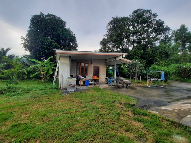 ขายที่ดินพร้อมบ้าน เนื้อที่ 1 ไร่ 2 งาน มีรั้วรอบขอบชิด บ้านนา นครนายก