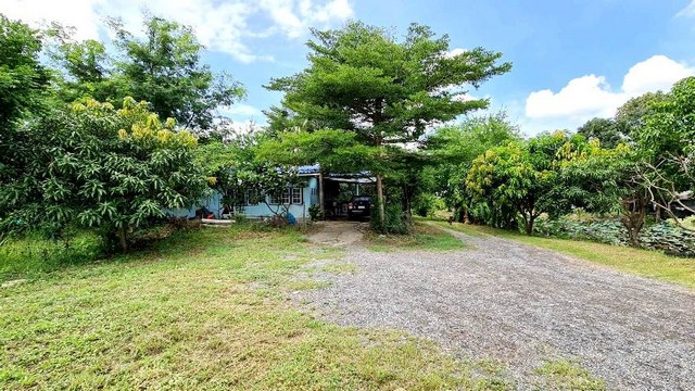 ที่ดิน - ใกล้แหล่งอำนวยความสะดวก