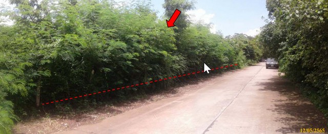 ขายที่ดินเปล่า ใกล้โลตัสชุมแพ จังหวัดขอนแก่น ที่ดิน284.2 ตารางวา