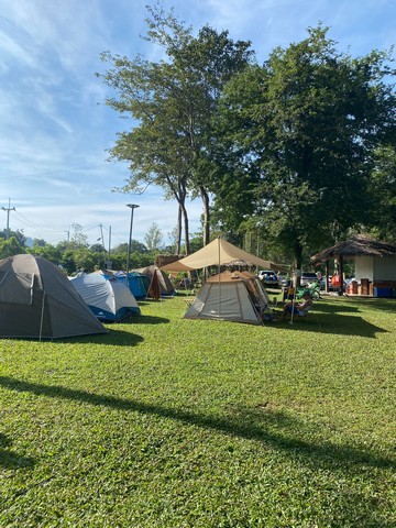 ขายที่ดินพร้อมสิ่งปลูกสร้าง แหล่งท่องเที่ยวชะอม(บึงไม้)ด่วนๆ ติดลำธารขนาด 2 ไร่เต็ม