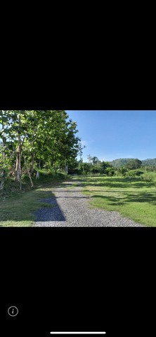 ขายที่ดินพร้อมบ้านพัก แหล่งท่องเที่ยว ชะอม(บึงไม้)ด่วนๆ ติดลำธาร ขนาด 1 ไร่ 2 งาน