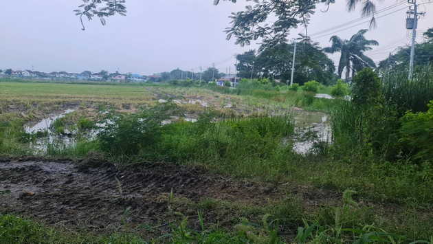 ขายที่ดิน ทำเลดี แขวงสามวาตะวันออก เขตคลองสามวา กรุงเทพมหานคร