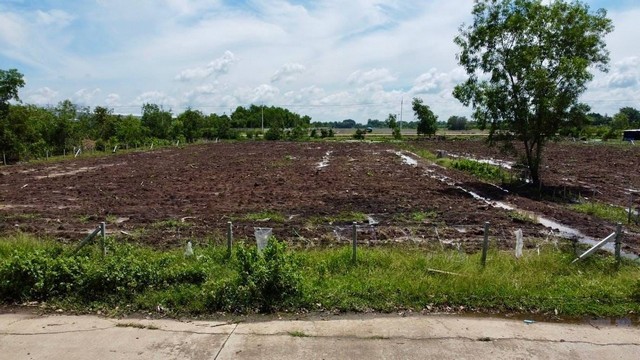 ที่ดินคลอง 2 ใกล้ตลาดไทย คลองหลวง ปทุมธานี 2 ไร่ 331 ตร.ว 7.4 ล้านบาท ถมแล้วติดถนนคอนกรีต