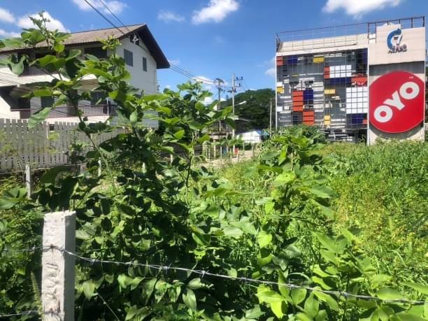 ติดถนนชุปเปอร์ไฮเวย์ ขายที่ดิน 38 ล้าน เนื้อที่ 212 ตรว. วัดเกต อำเภอเมือง บนถนนทุ่งโฮเต็ล ที่ดินผืนสี่เหลี่ยมสวย