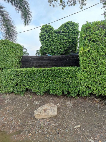 ขายที่ดินสวย 1-2-0 ไร่ ที่ถมแล้ว บ้านเกาะ สมุทรสาคร   ZW276