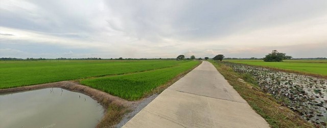 ขายที่ดิน แปลงใหญ่ 15 - 1 - 24 ไร่ อ.บางไทร จ.พระนครศรีอยุธยา   ZW219