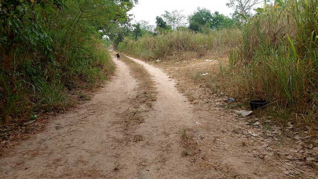 ขายที่ดินเปล่า 200 ตารางวา เหมาะสำหรับ ทำบ้านจัดสรร บ้านสวน เกษตรกรรม