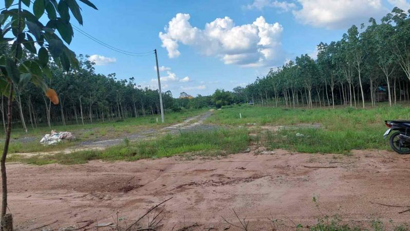 ขายที่ดิน แปลงเล็ก เขตพัฒพิเศษ ภาคตะวันออก  อ.ปลวกแดง จ.ระยอง