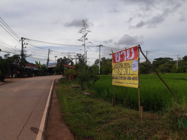 ขายที่ดินติดถนน 1-2-20 ไร่ บ้านคุยนาง ซอยมิตรสัมพันธ์  ต.หนองกอมเกาะ จ.หนองคาย