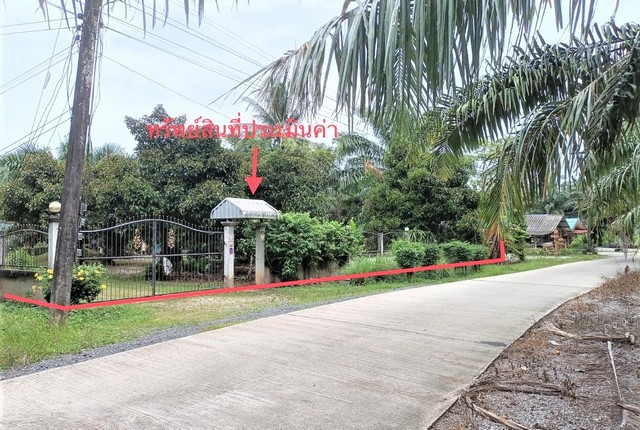 รายละเอียดเพิ่มเติม Code ID : PKK02-14722  ราคาขาย  3,020,000 บาท- ขนาดพื้นที่ :   1331.00 ตร.ว.- พื้นที่ใช้สอย :  201.00 ตร.ม - จำนวนห้อง :  4 ห้องนอน 1 ห้องน้ำ  - ที่จอดรถ :    1   คัน- บ้านหันทางทิศ : ตะวันตกเฉียงเหนือ พิกัดทรัพย์ : https://maps.app.goo.gl/QauxXeCkimmmrcvJ8    สถานที่ใกล้เคียง- ใกล้รพ.สต.บ้านศรีไชยคราม- ใกล้อีสานวัดนอก   - ใกล้สี่แยกตาแจ้ง  - ใกล้ร้านอาหารหนูนาพาแซ่บ สอบถามเพิ่มเติม/นัดชมโทร. 097-419-5982(พลอย)โทร. 096-932-4624(ออมสิน)Line : @panaya 