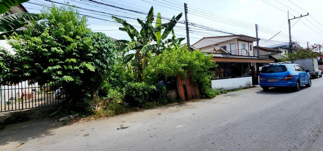 ที่ดิน การเคหะคลอง 7  พื้นที่ =  21 ตาราง.วา 390000 THB ใกล้ ใกล้วงแหวนรอบนอกตะวันออก(กาญจนาภิเษก) ใกล้ตลาดสี่มุมเมือง ราคาสุดคุ้ม